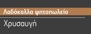 anestidis-client-16